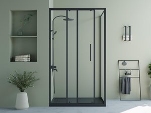 Duschtrennwand Seitenwand Schiebetür Industriel-Stil - 120 x 80 x 195 cm - Schwarz matt - TORONI