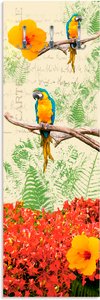 Artland Garderobenleiste "Papagei", teilmontiert