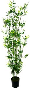 I.GE.A. Kunstpflanze "Bambus im Topf"