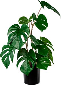 Creativ green Künstliche Zimmerpflanze "Split-Philodendron-Pflanze"
