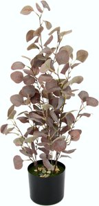 I.GE.A. Kunstpflanze "Eukalyptuspflanze", im Kunststofftopf