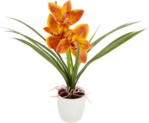 I.GE.A. Kunstblume "Orchidee", Mit Blätter im Topf aus Keramik Künstliche Blume Cymbidium-Orchidee
