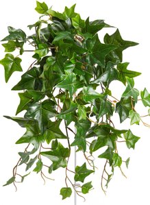 Botanic-Haus Künstliche Zimmerpflanze "Efeu-Hängebusch mit 10 Stielen"