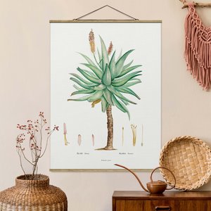 Stoffbild mit Posterleisten Botanik Vintage Illustration Aloe