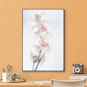 Wechselbild Zerbrechliche Orchidee