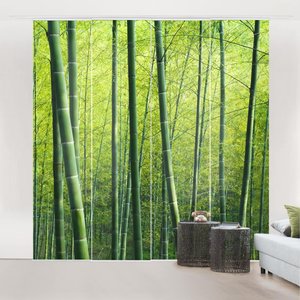 Schiebegardine Bambuswald