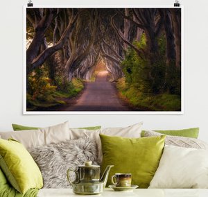 Poster Tunnel aus Bäumen