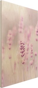 Holzbild Zartvioletter Lavendel