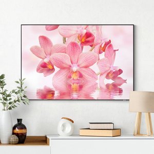 Wechselbild Rosa Orchideen auf Wasser