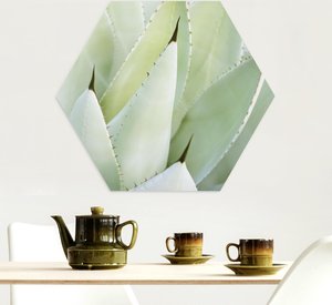 Hexagon-Alu-Dibond Bild Blumen Aloe