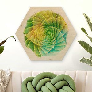Hexagon-Holzbild Blumen Wasserfarben - Spiral Aloe