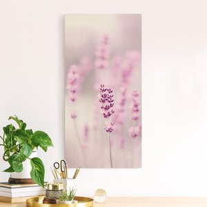 Leinwandbild auf Naturcanvas Zartvioletter Lavendel