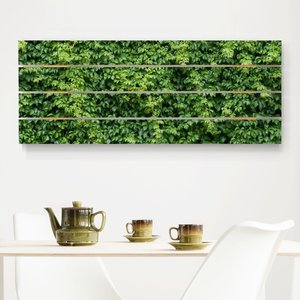 Holzbild Plankenoptik Blumen - Panorama Efeu