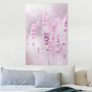 Leinwandbild Zartvioletter Lavendel