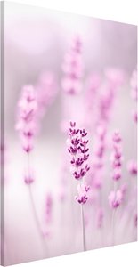 Magnettafel Zartvioletter Lavendel