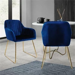 Esszimmerstühle mit Rückenlehne 2er Set Blau Samtbezug mit Metallbeinen ML-Design