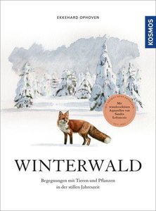 Casalist Winterwald -