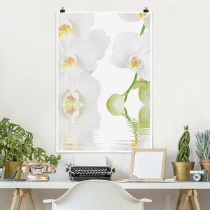 Poster Blumen Wellness Orchidee - Weiße Orchidee