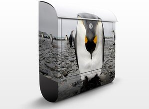 Briefkasten Pinguin