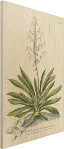 Holzbild Blumen - Hochformat 2:3 Vintage Botanik Illustration Yucca