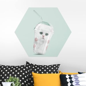 Hexagon-Alu-Dibond Bild Küche Shake mit Katze