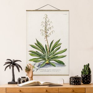 Stoffbild Blumen mit Posterleisten - Hochformat Vintage Botanik Illustration Yucca