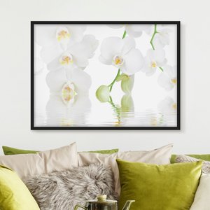 Blumen Bild mit Rahmen Wellness Orchidee - Weiße Orchidee
