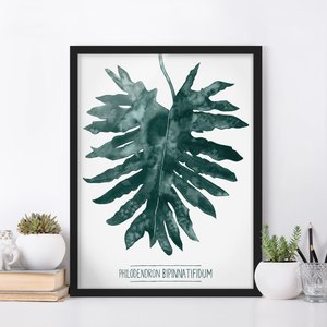 Aquarell Bild mit Rahmen Smaragdgrüner Philodendron Bipinnatifidum