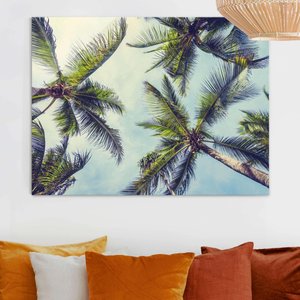Glasbild Die Palmen