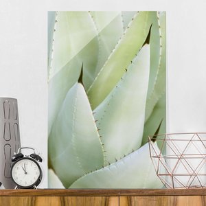 Glasbild Botanik - Hochformat Aloe