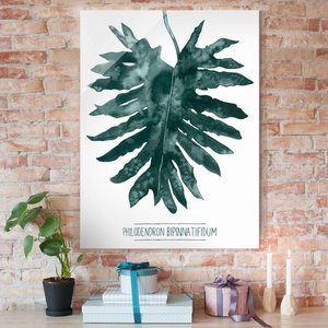 Glasbild Blumen - Hochformat Smaragdgrüner Philodendron Bipinnatifidum