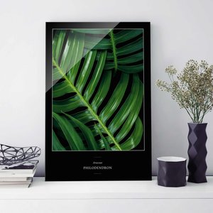 Glasbild Botanik Tropische Blätter Philodendron