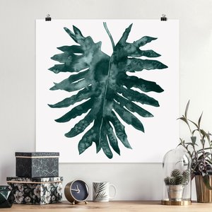 Poster Blumen - Quadrat Smaragdgrüner Philodendron Bipinnatifidum