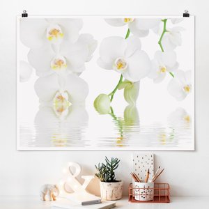 Poster Blumen - Querformat Wellness Orchidee - Weiße Orchidee