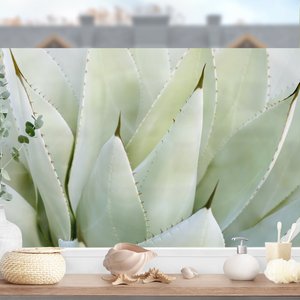 Fensterfolie Aloe