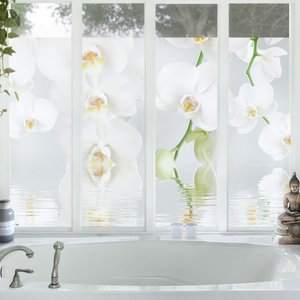Fensterfolie Wellness Orchidee - Weiße Orchidee