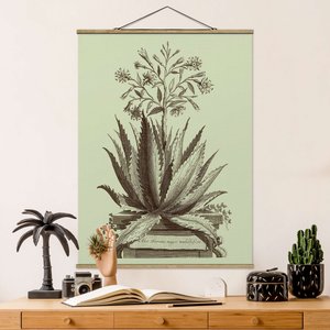 Stoffbild mit Posterleisten Vintage Aloe Serrata