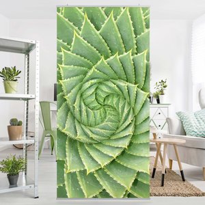 Raumteiler Botanik & Tropical Spiral Aloe