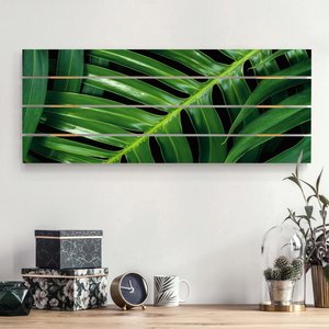 Holzbild Plankenoptik Blumen - Panorama Tropische Blätter Philodendron