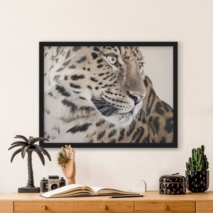Bild mit Rahmen Der Leopard