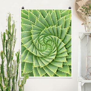 Poster Blumen - Hochformat Spiral Aloe