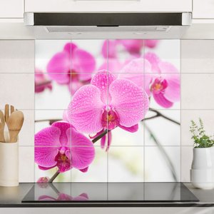 Fliesenbild Nahaufnahme Orchidee