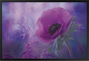 Fußmatte Anemonenblüte in Violett
