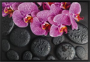 Fußmatte Pinke Orchidee