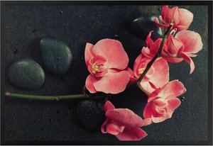Fußmatte Rosa Orchidee