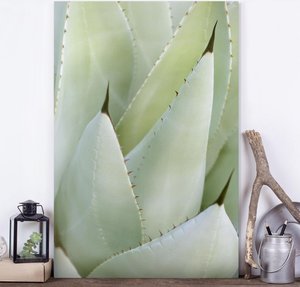 Leinwandbild Botanik - Hochformat Aloe