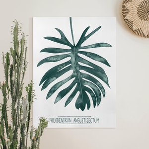 Leinwandbild Botanik Smaragdgrüner Philodendron Angustisectum