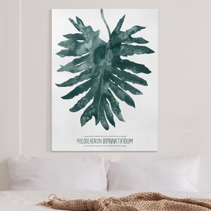 Leinwandbild Botanik Smaragdgrüner Philodendron Bipinnatifidum