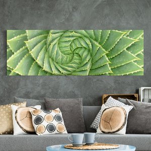 Leinwandbild Botanik - Panorama Spiral Aloe