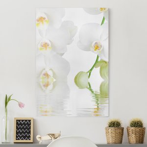 Leinwandbild Blumen Wellness Orchidee - Weiße Orchidee